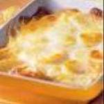 American Potato Gratin Does Not Make It Difficult but Easy Appetizer