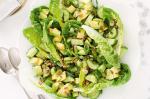 Australian Leafy Green Salad Recipe Appetizer