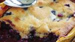 Australian Best Ever Blueberry Cobbler Recipe Dessert