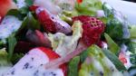 Australian Strawberry Summer Salad Recipe Appetizer