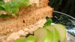 American Darras Famous Tuna Waldorf Salad Sandwich Filling Recipe Appetizer