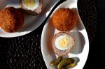 American Crunchy Scotch Eggs With Horseradish and Pickles Recipe Appetizer