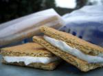 American Low Fat Ice Cream Sandwiches Appetizer