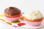 Australian Chocchip Vanilla Cupcakes Recipe Dessert