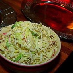 Australian Fennel Cole Slaw Appetizer