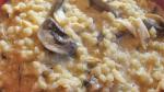 American Mushroom Chicken Barley Risotto Recipe Appetizer