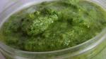 American Spinach Basil Pesto Recipe Appetizer