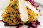 Canadian Parsley Crusted Chicken Schnitzel With Sweet And Sour Cabbage Recipe Appetizer