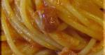 Italian Spaghetti Alamatriciana Appetizer