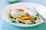 Moroccan Chargrilled Chicken With Mint And Currant Couscous Recipe Dinner