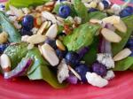 American Berry Blue Salad Appetizer