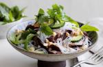 Vietnamese Vietnamese Beef Noodle Salad Recipe Appetizer