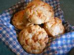American Ultimate Cheese Biscuits  Muffins Appetizer
