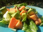Australian Simple Papaya Avocado Salad Appetizer