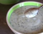 American Low Cal Dill Sauce for Poached Fish Appetizer