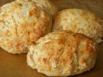 French Sour Cream Biscuit Dinner