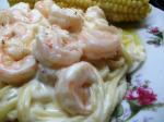 Italian Mmmm Easy Shrimp in Alfredo Sauce Dinner