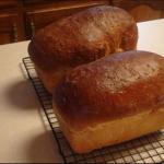 Honey Wheat Bread 14 recipe