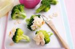 American Broccoli Trees Recipe Appetizer