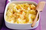 American Cauliflower Potato And Parmesan Mash Recipe Appetizer