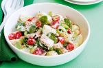 American Tuna And Potato Salad Recipe Appetizer