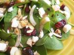 American Craisins Spinach Salad Appetizer