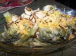 American Slow Cooker Cheese Broccoli With Almonds Dinner