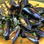 Chilean Mussels in White Wine Appetizer