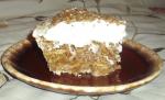 American Lubys Cafeteria Butternut Brownie Pie Dessert