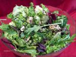 American Oriental Chicken Salad 15 Dinner