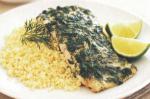 American Herb And Lime Marinated Fish Recipe Dinner