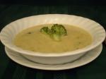 American Broccoli Cheese Soup   Minute Fast and Low Fat Appetizer