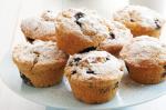 American Blueberry Muffins Recipe 89 Dessert