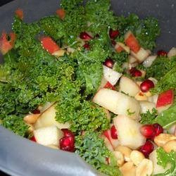 American Green Cabbage Salad with Apples Cranberries and Gorgonzola Appetizer