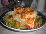 French Cheesy Baked Fillet of Fish Casserole Dinner