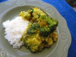 American Broccoli Dal Curry Dinner