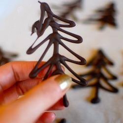 American Fir Trees in Chocolate Dessert