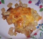 American Velveeta Cheese Potatoes 1 Dinner