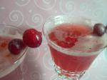 American Sparkling Cranberry Punch 2 Dessert