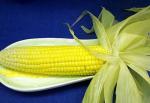 American Perfect Roasted Corn on the Cob Dinner