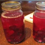 American Beet Kvass 2 Drink