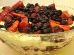 British Christmas Berry Trifle Dessert