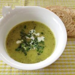 American Simple Zucchini Soup Appetizer