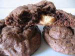 Double Chocolate Double Peanut Butter Cookies recipe