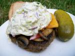 American Amys Dill Pickle and Lettuce Hamburger  Slaw Appetizer
