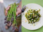 Italian Asparagus Salad With Hardboiled Eggs Recipe 1 Dinner