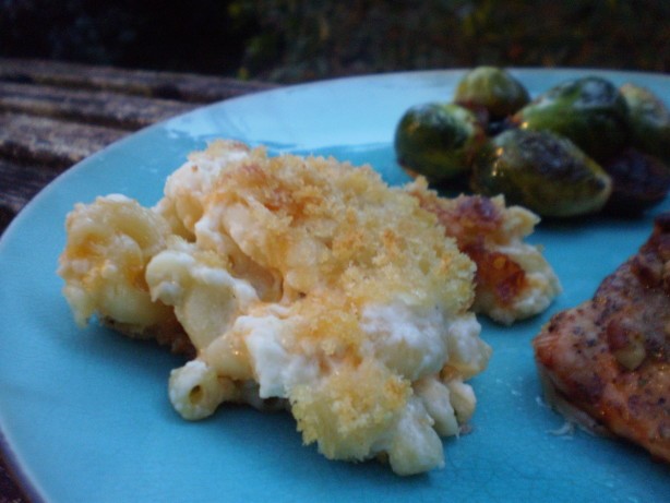 Italian Old Fashioned Macaroni and Cheese 1 Appetizer