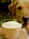 American Tinkers Cuddy  Homemade Frosty Paws Appetizer