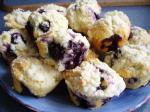 American Blueberry Crunch Muffins Dessert