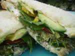 American Veggies Dream Cucumber Sandwich Appetizer